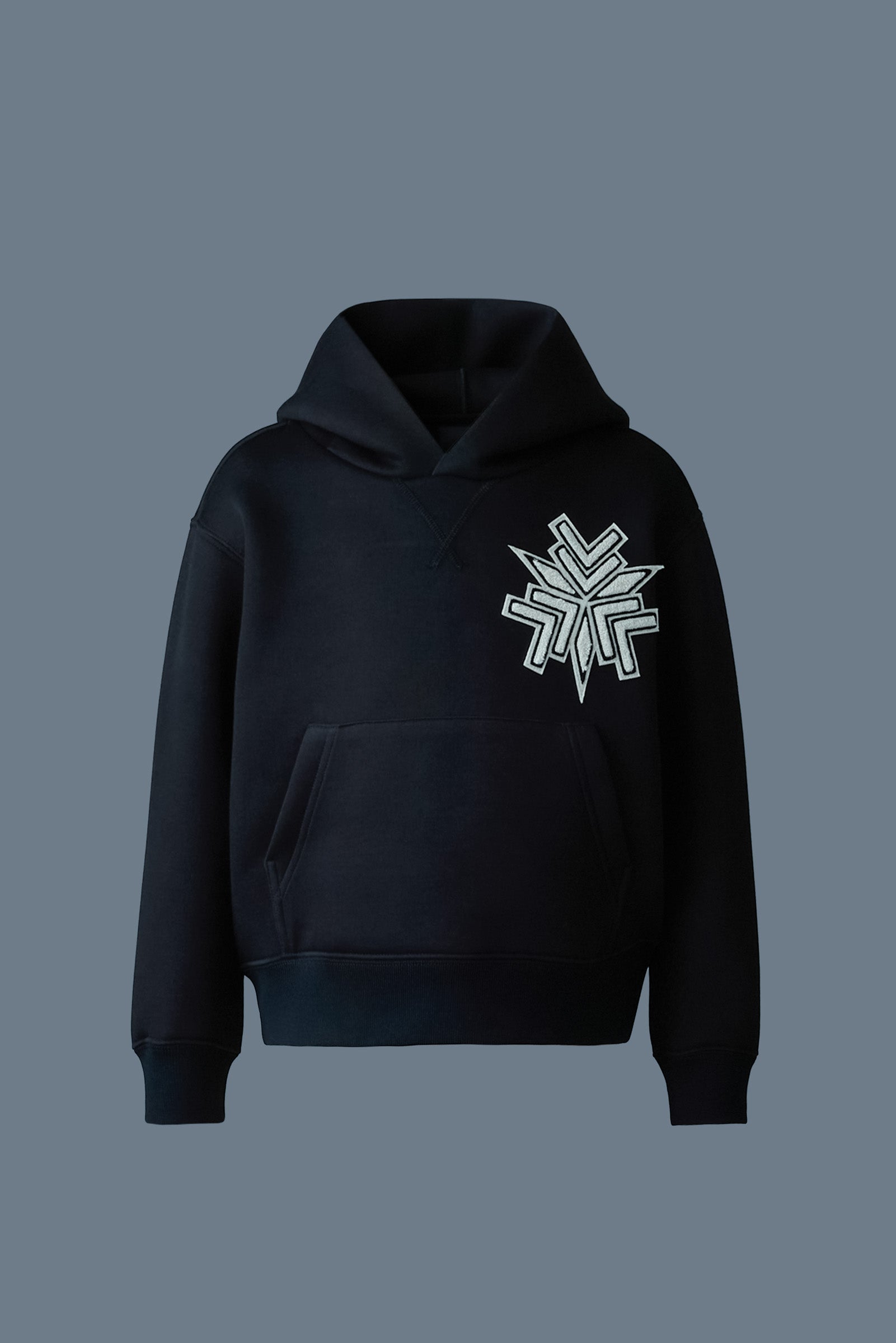 Double hoodie online